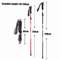 Lightweight Hiking Stick